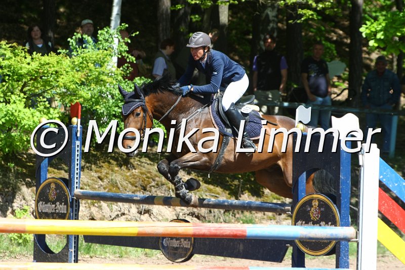 104M8495__Lando_Spring L.JPG